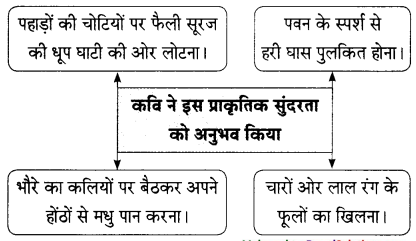 Maharashtra-Board-Class-9-Hindi-Lokbharti-Solutions-Chapter-6-निसर्ग-वैभव-9