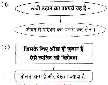 Maharashtra-Board-Class-9-Hindi-Lokbharti-Solutions-Chapter-8-उड़ान-6