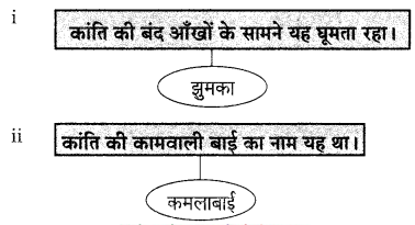 Maharashtra-Board-Class-9-Hindi-Lokvani-Solutions-Chapter-2-झुमका-4