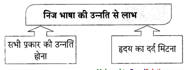 Maharashtra-Board-Class-9-Hindi-Lokvani-Solutions-Chapter-3-निज-भाषा-1