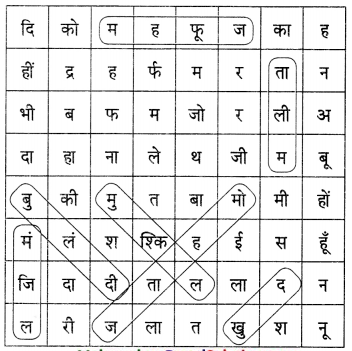 Maharashtra-Board-Class-9-Hindi-Lokvani-Solutions-Chapter-5-उम्मीद-4