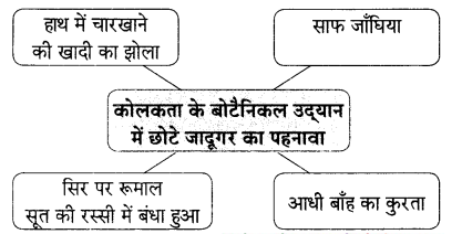 Maharashtra-Board-Class-9-Hindi-Lokvani-Solutions-Chapter-7-छोटा-जादूगर-5