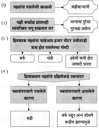 Maharashtra-Board-Class-9-Marathi-Aksharbharati-Solutions-Chapter-11-आभाळातल्या-पाऊलवाटा-23