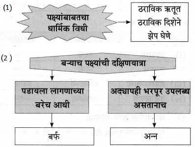 Maharashtra-Board-Class-9-Marathi-Aksharbharati-Solutions-Chapter-11-आभाळातल्या-पाऊलवाटा-28