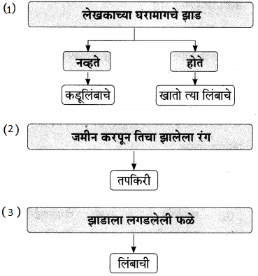 Maharashtra-Board-Class-9-Marathi-Aksharbharati-Solutions-Chapter-14-ते-जीवनदायी-झाड-5