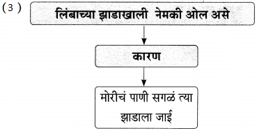 Maharashtra-Board-Class-9-Marathi-Aksharbharati-Solutions-Chapter-14-ते-जीवनदायी-झाड-9