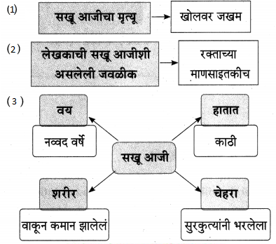 Maharashtra-Board-Class-9-Marathi-Aksharbharati-Solutions-Chapter-8-सखू-आजी-5