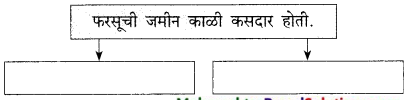 Maharashtra-Board-Class-9-Marathi-Kumarbharti-Solutions-Chapter-11-मातीची-सावली-9