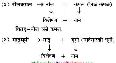 Maharashtra-Board-Class-9-Marathi-Kumarbharti-Solutions-Chapter-3-कीर्ती-कठीयाचा-दृष्टान्त-10