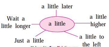 Maharashtra-Board-Class-9-My-English-Coursebook-Solutions-Chapter-1.1-Walk-a-Little-Slower-3