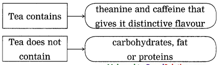 Maharashtra-Board-Class-9-My-English-Coursebook-Solutions-Chapter-1.4-The-Story-of-Tea-6