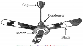 Maharashtra-Board-Class-9-My-English-Coursebook-Solutions-Chapter-3.5-Great-Scientists-5
