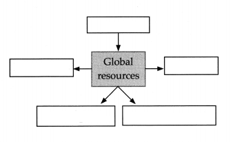 Maharashtra-Board-Class-9-Political-Science-Solutions-Chapter-6-International-Problems-4