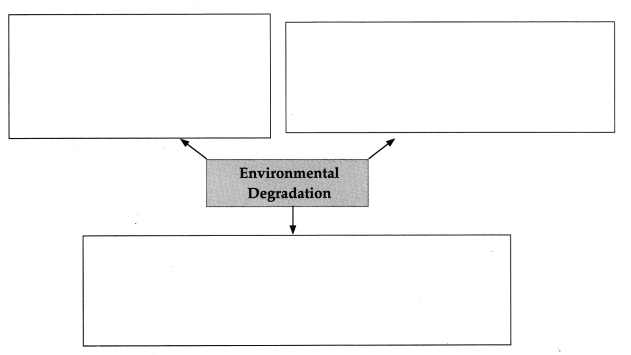 Maharashtra-Board-Class-9-Political-Science-Solutions-Chapter-6-International-Problems-8