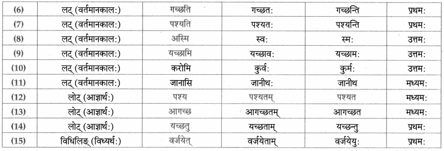 Maharashtra-Board-Class-9-Sanskrit-Aamod-Solutions-Chapter-5-किं-मिथ्या-किं-वास्तवम्-5