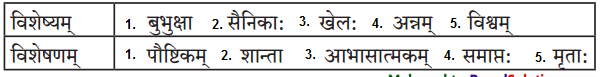 Maharashtra-Board-Class-9-Sanskrit-Anand-Solutions-Chapter-3-किं-मिथ्या-किं-वास्तवम्-1