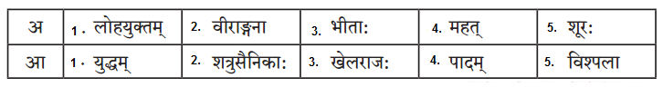 Maharashtra-Board-Class-9-Sanskrit-Anand-Solutions-Chapter-5-वीरवनिता-विश्पला-1