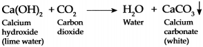 Maharashtra-Board-Class-9-Science-Solutions-Chapter-13-Carbon-An-Important-Element-10