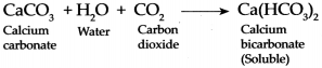 Maharashtra-Board-Class-9-Science-Solutions-Chapter-13-Carbon-An-Important-Element-11