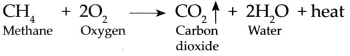 Maharashtra-Board-Class-9-Science-Solutions-Chapter-13-Carbon-An-Important-Element-14