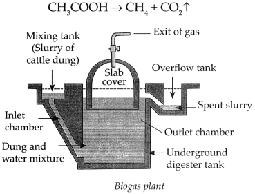 Maharashtra-Board-Class-9-Science-Solutions-Chapter-13-Carbon-An-Important-Element-19
