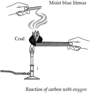 Maharashtra-Board-Class-9-Science-Solutions-Chapter-13-Carbon-An-Important-Element-20