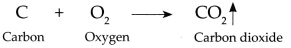 Maharashtra-Board-Class-9-Science-Solutions-Chapter-13-Carbon-An-Important-Element-21