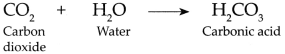 Maharashtra-Board-Class-9-Science-Solutions-Chapter-13-Carbon-An-Important-Element-22