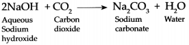 Maharashtra-Board-Class-9-Science-Solutions-Chapter-13-Carbon-An-Important-Element-8