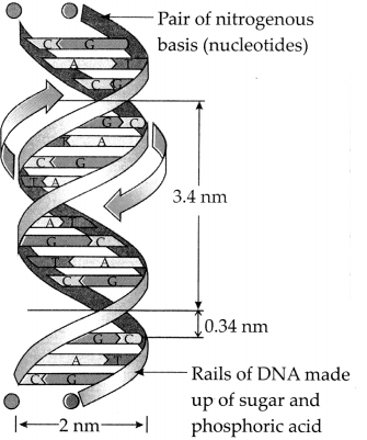 Maharashtra-Board-Class-9-Science-Solutions-Chapter-16-Heredity-and-Variation-8