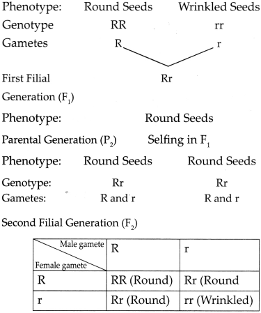 Maharashtra-Board-Class-9-Science-Solutions-Chapter-16-Heredity-and-Variation-9