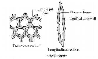 Maharashtra-Board-Class-9-Science-Solutions-Chapter-17-Introduction-to-Biotechnology-3