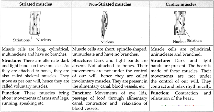 Maharashtra-Board-Class-9-Science-Solutions-Chapter-17-Introduction-to-Biotechnology-5
