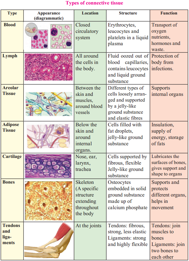 Maharashtra-Board-Class-9-Science-Solutions-Chapter-17-Introduction-to-Biotechnology-9