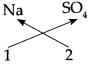Maharashtra-Board-Class-9-Science-Solutions-Chapter-4-Measurement-of-Matter-41