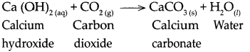 Maharashtra-Board-Class-9-Science-Solutions-Chapter-5-Acids-Bases-and-Salts-14