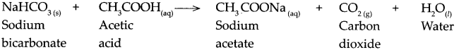 Maharashtra-Board-Class-9-Science-Solutions-Chapter-5-Acids-Bases-and-Salts-21