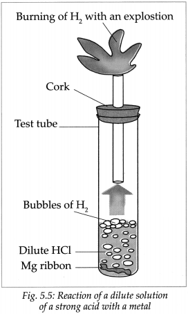 Maharashtra-Board-Class-9-Science-Solutions-Chapter-5-Acids-Bases-and-Salts-45