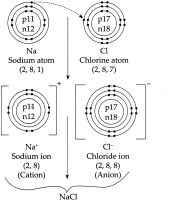 Maharashtra-Board-Class-9-Science-Solutions-Chapter-5-Acids-Bases-and-Salts-47