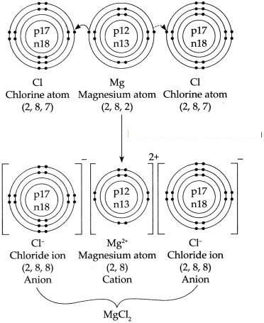 Maharashtra-Board-Class-9-Science-Solutions-Chapter-5-Acids-Bases-and-Salts-48