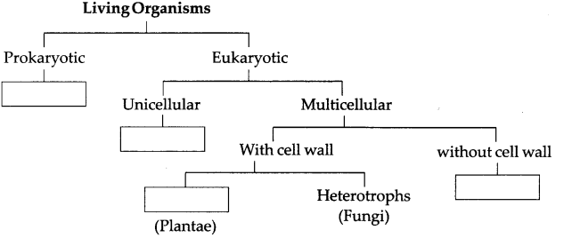 Maharashtra-Board-Class-9-Science-Solutions-Chapter-6-Classification-of-Plants-1