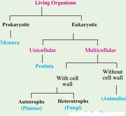 Maharashtra-Board-Class-9-Science-Solutions-Chapter-6-Classification-of-Plants-2