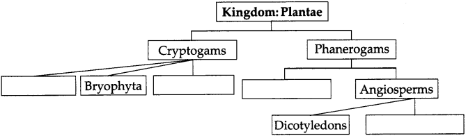 Maharashtra-Board-Class-9-Science-Solutions-Chapter-6-Classification-of-Plants-3