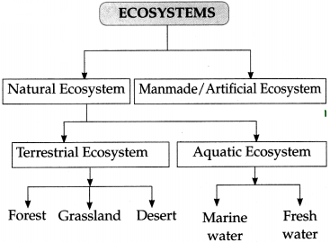 Maharashtra-Board-Class-9-Science-Solutions-Chapter-7-Energy-Flow-in-an-Ecosystem-1