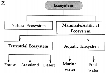 Maharashtra-Board-Class-9-Science-Solutions-Chapter-7-Energy-Flow-in-an-Ecosystem-3