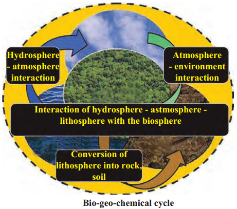 Maharashtra-Board-Class-9-Science-Solutions-Chapter-7-Energy-Flow-in-an-Ecosystem-5