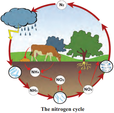 Maharashtra-Board-Class-9-Science-Solutions-Chapter-7-Energy-Flow-in-an-Ecosystem-9